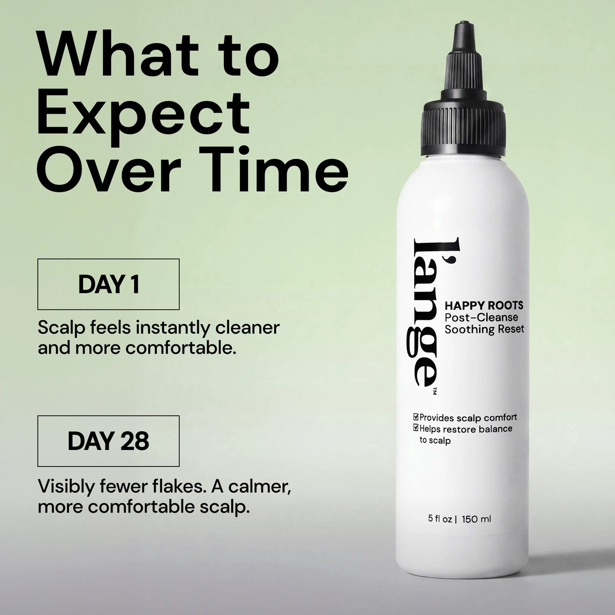 Clean & Calm Scalp Duo